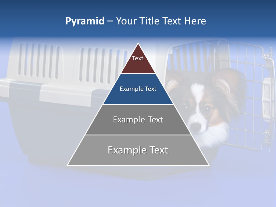 Young Dog Papillon And A Plastic Carrier PowerPoint Template