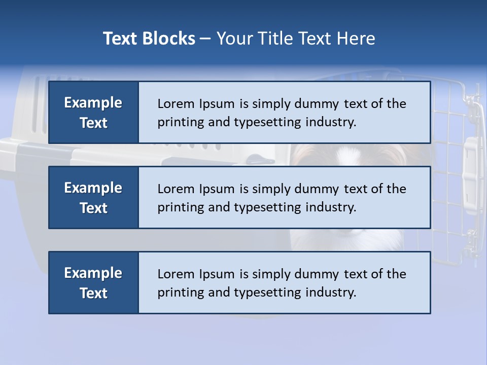 Young Dog Papillon And A Plastic Carrier PowerPoint Template