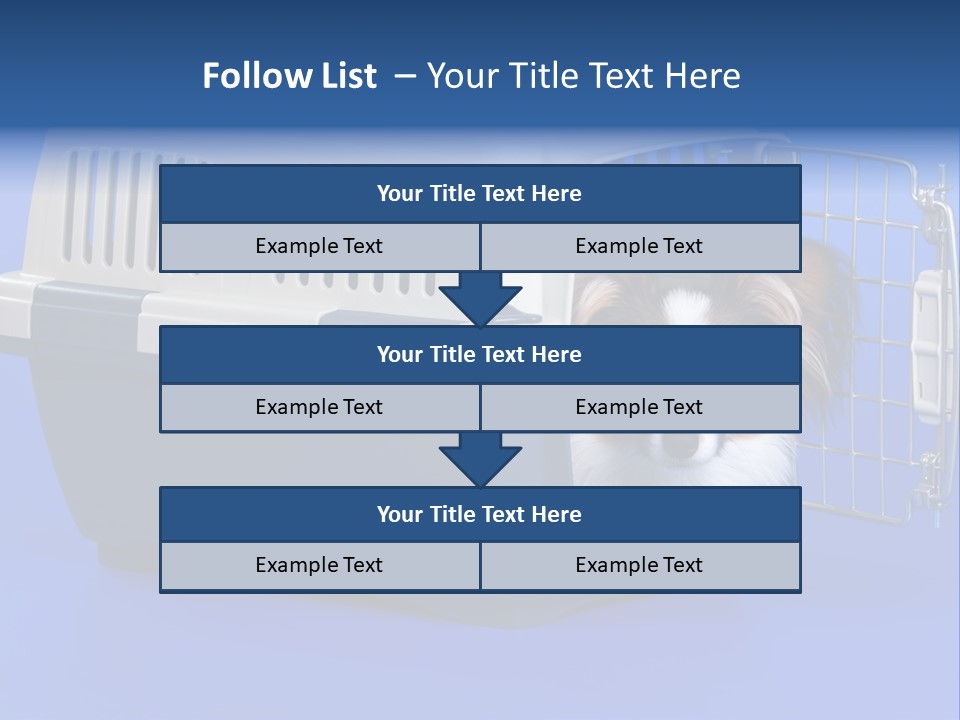 Young Dog Papillon And A Plastic Carrier PowerPoint Template