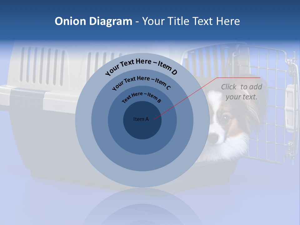Young Dog Papillon And A Plastic Carrier PowerPoint Template
