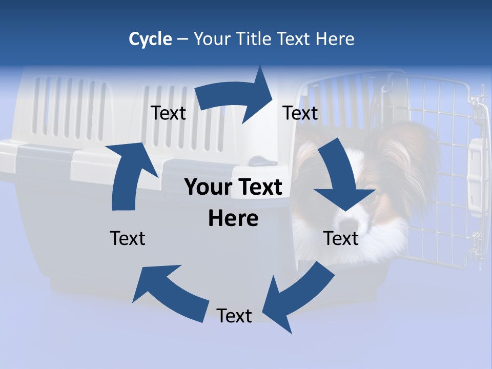 Young Dog Papillon And A Plastic Carrier PowerPoint Template