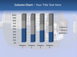 Young Dog Papillon And A Plastic Carrier PowerPoint Template