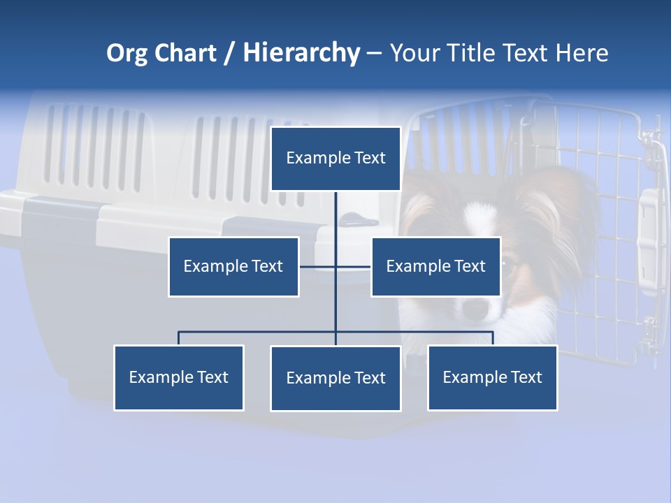 Young Dog Papillon And A Plastic Carrier PowerPoint Template