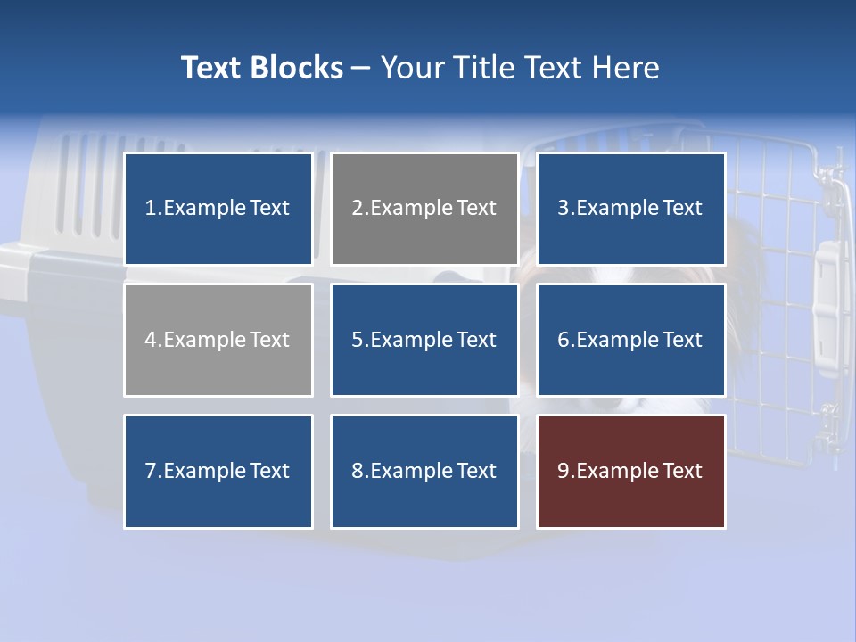 Young Dog Papillon And A Plastic Carrier PowerPoint Template