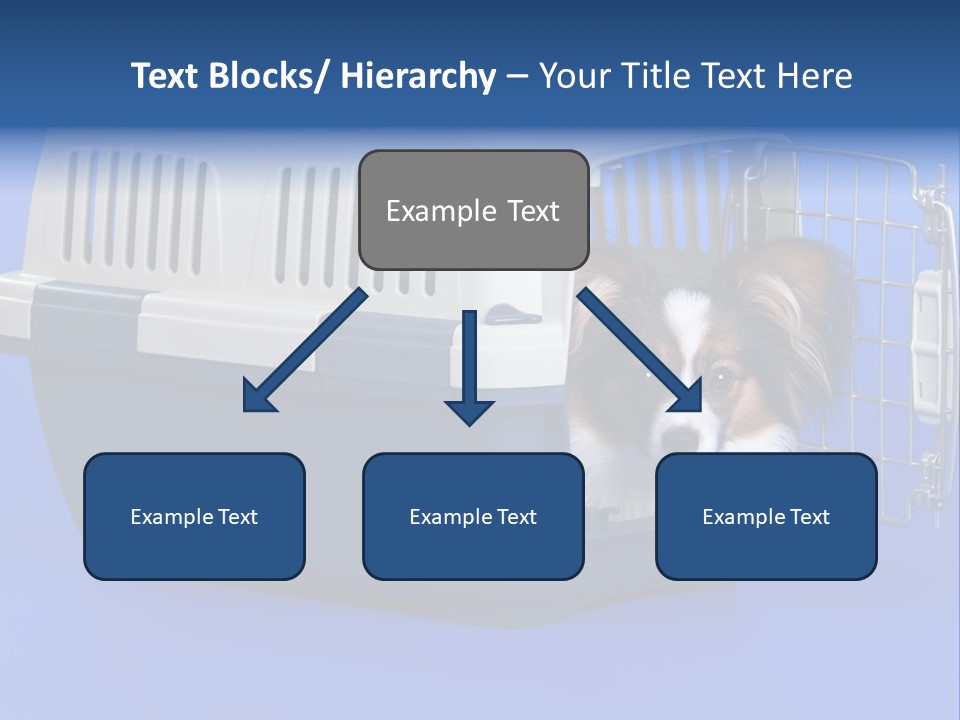 Young Dog Papillon And A Plastic Carrier PowerPoint Template