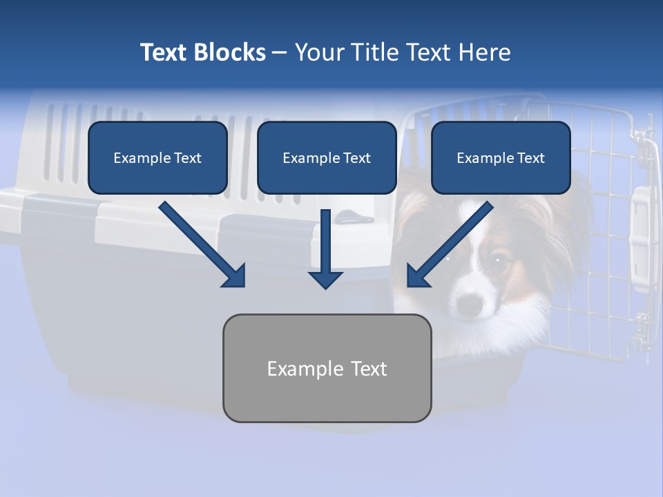 Young Dog Papillon And A Plastic Carrier PowerPoint Template