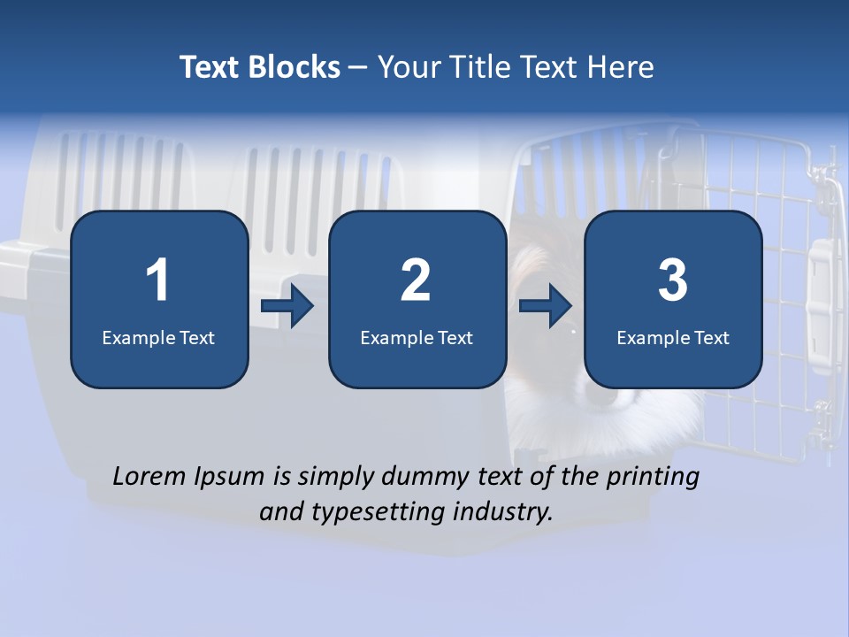 Young Dog Papillon And A Plastic Carrier PowerPoint Template