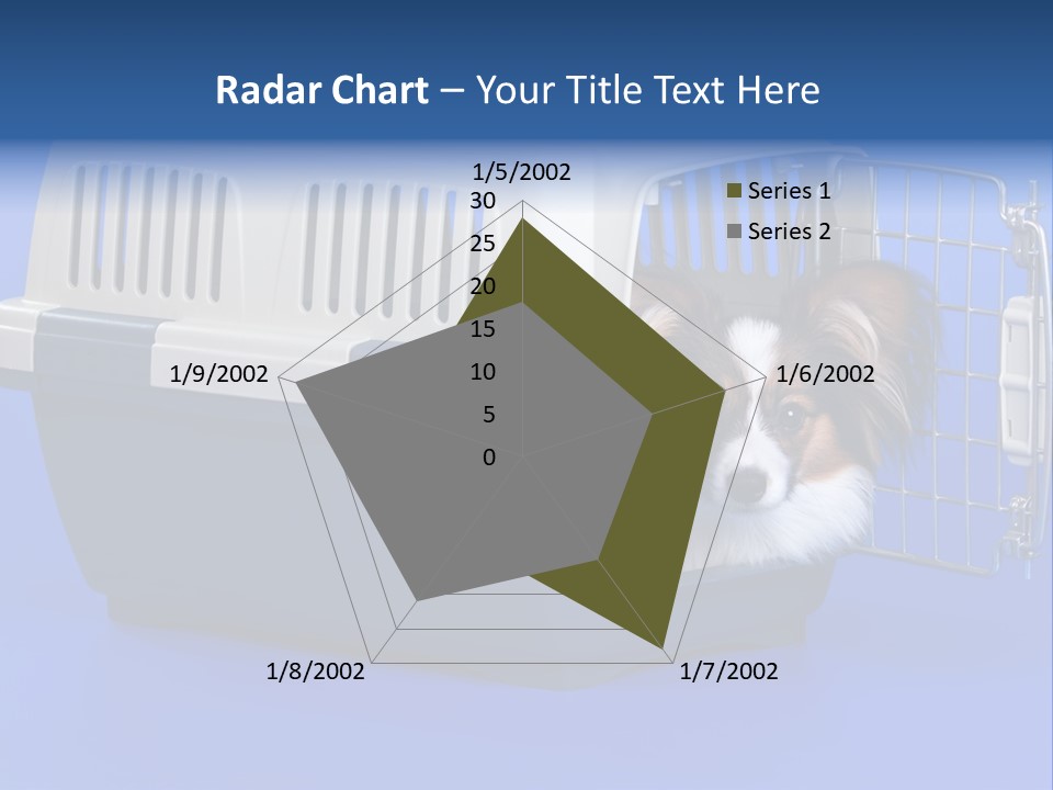 Young Dog Papillon And A Plastic Carrier PowerPoint Template