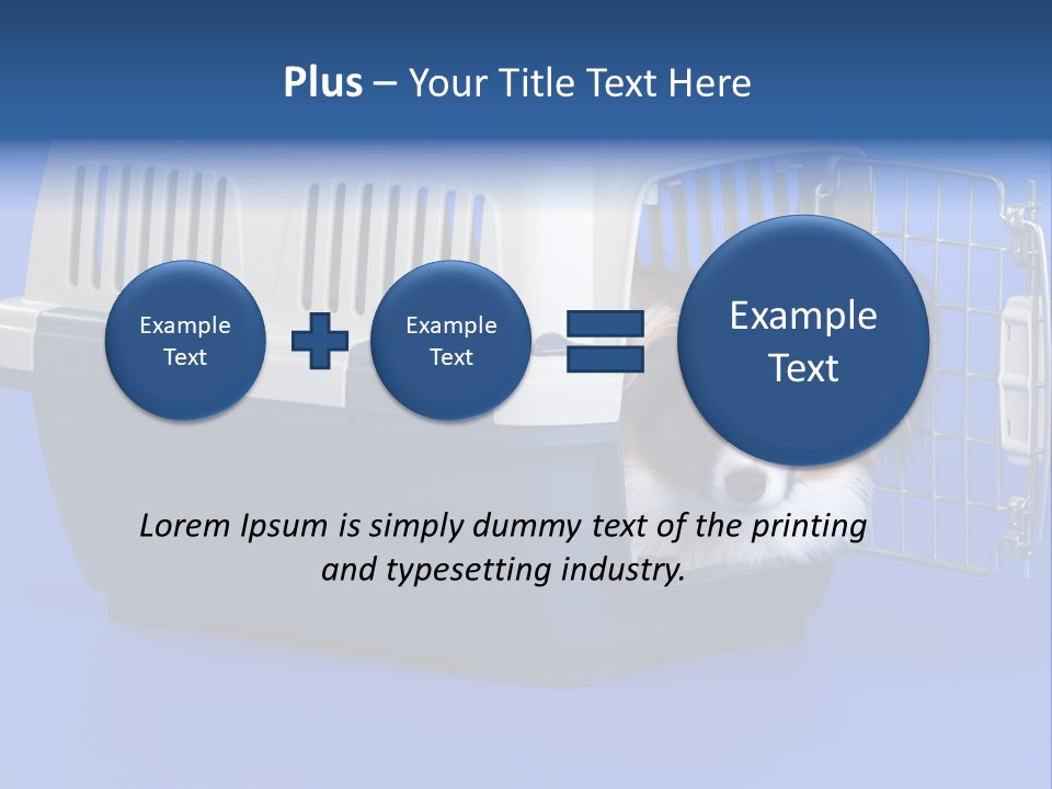 Young Dog Papillon And A Plastic Carrier PowerPoint Template