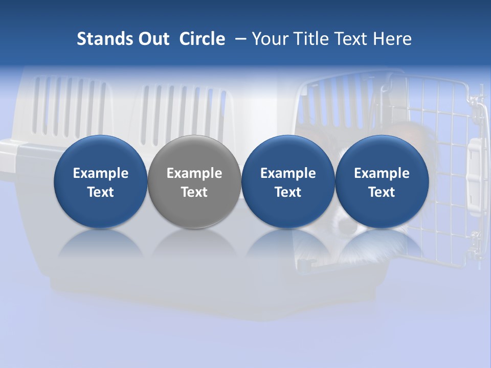 Young Dog Papillon And A Plastic Carrier PowerPoint Template