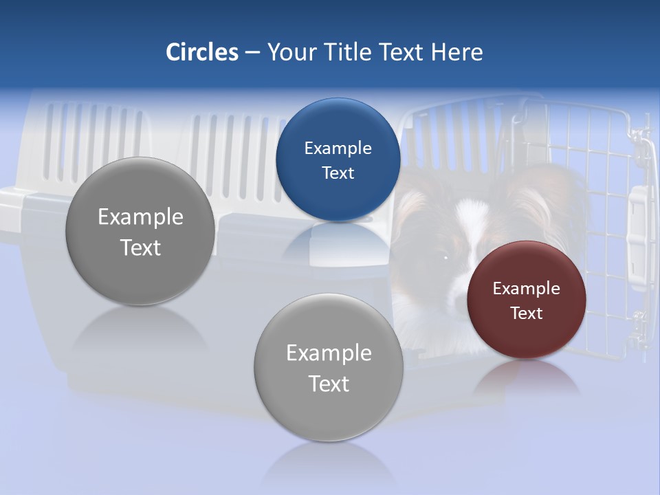 Young Dog Papillon And A Plastic Carrier PowerPoint Template