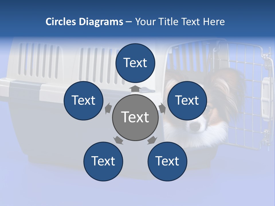 Young Dog Papillon And A Plastic Carrier PowerPoint Template