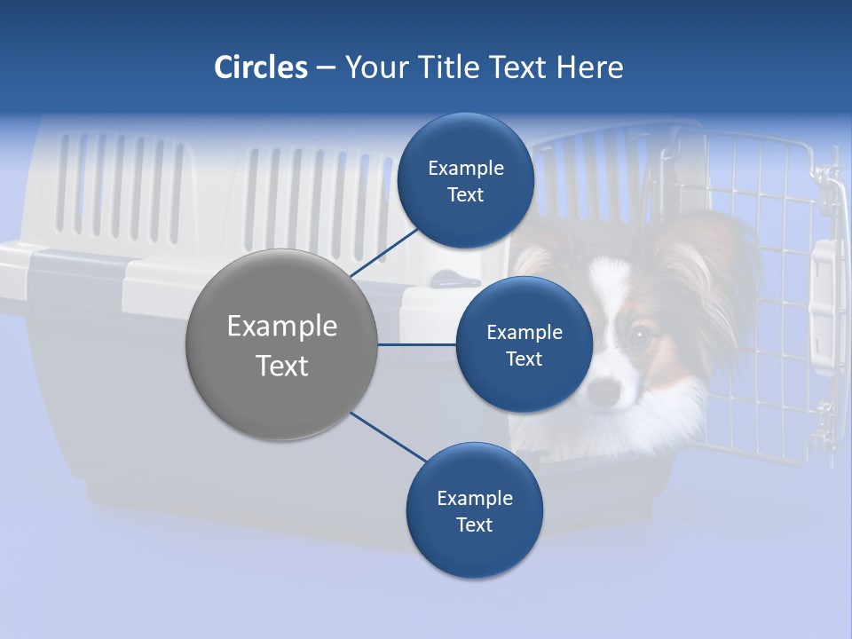 Young Dog Papillon And A Plastic Carrier PowerPoint Template