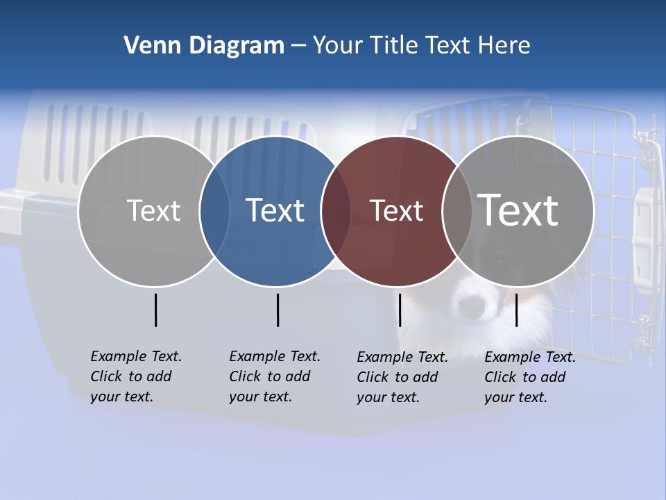 Young Dog Papillon And A Plastic Carrier PowerPoint Template