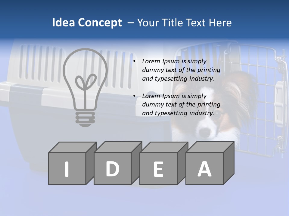 Young Dog Papillon And A Plastic Carrier PowerPoint Template