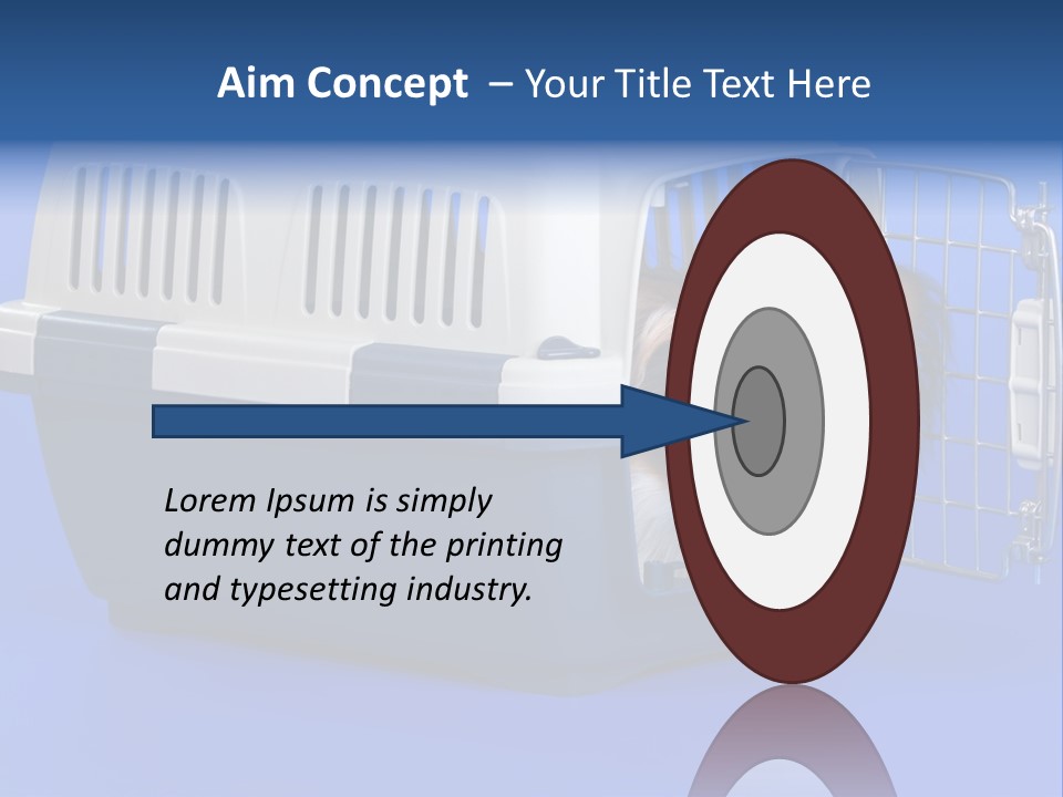 Young Dog Papillon And A Plastic Carrier PowerPoint Template