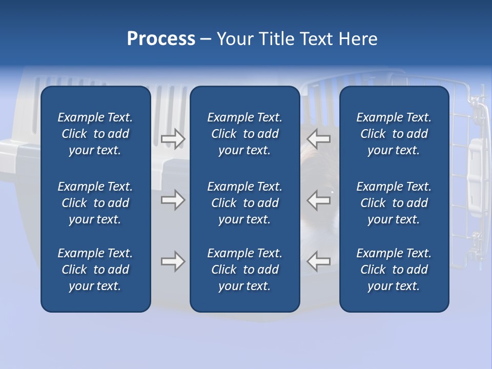 Young Dog Papillon And A Plastic Carrier PowerPoint Template