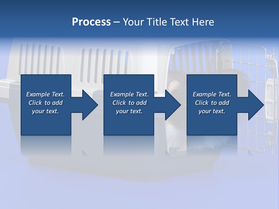Young Dog Papillon And A Plastic Carrier PowerPoint Template