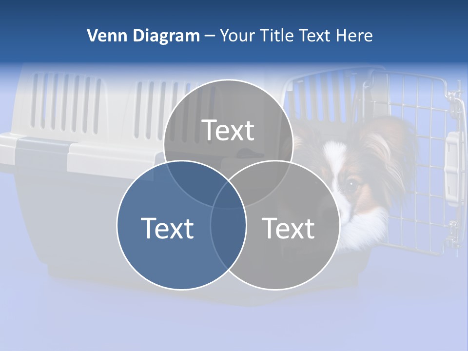 Young Dog Papillon And A Plastic Carrier PowerPoint Template