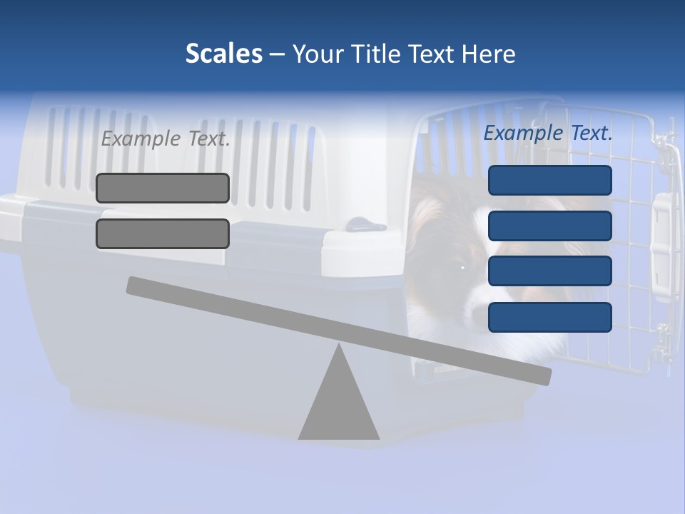 Young Dog Papillon And A Plastic Carrier PowerPoint Template