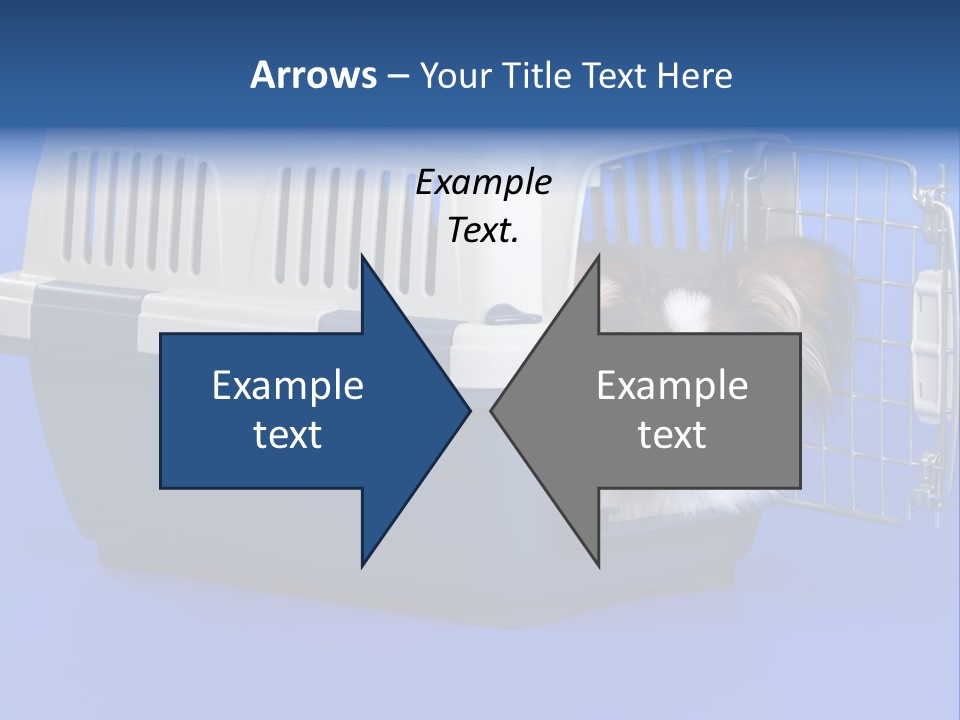 Young Dog Papillon And A Plastic Carrier PowerPoint Template