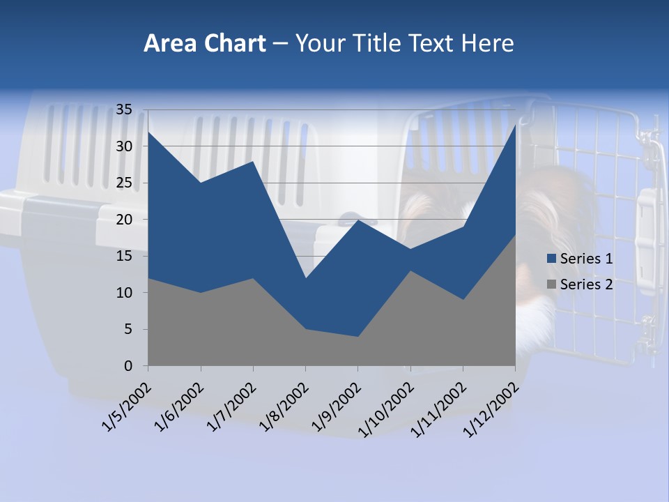 Young Dog Papillon And A Plastic Carrier PowerPoint Template