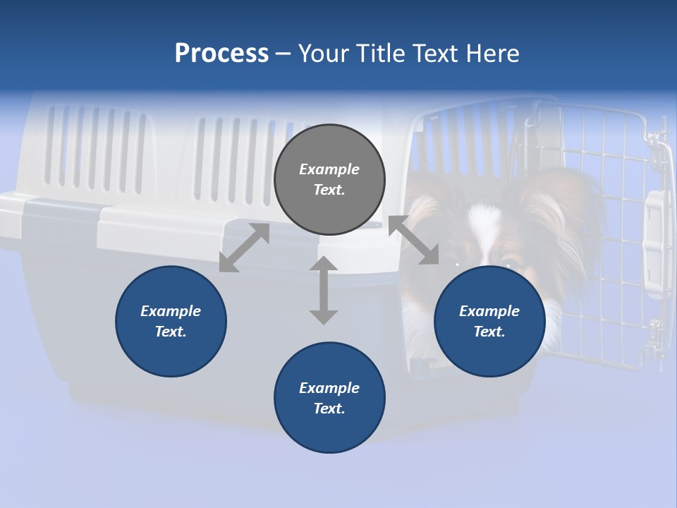 Young Dog Papillon And A Plastic Carrier PowerPoint Template
