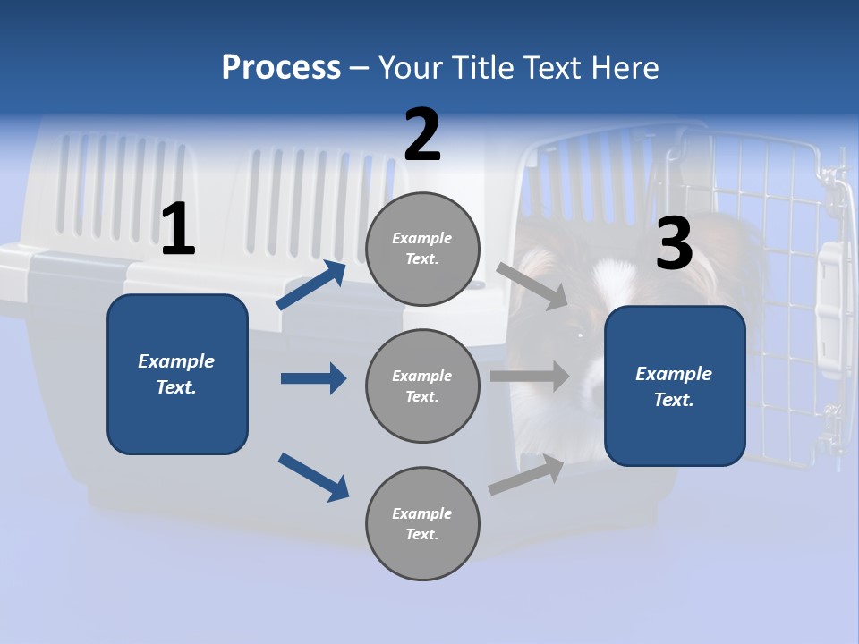Young Dog Papillon And A Plastic Carrier PowerPoint Template