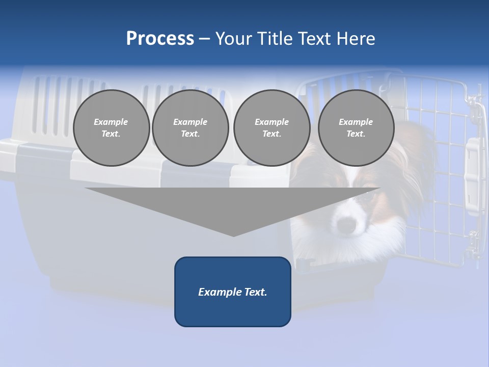 Young Dog Papillon And A Plastic Carrier PowerPoint Template