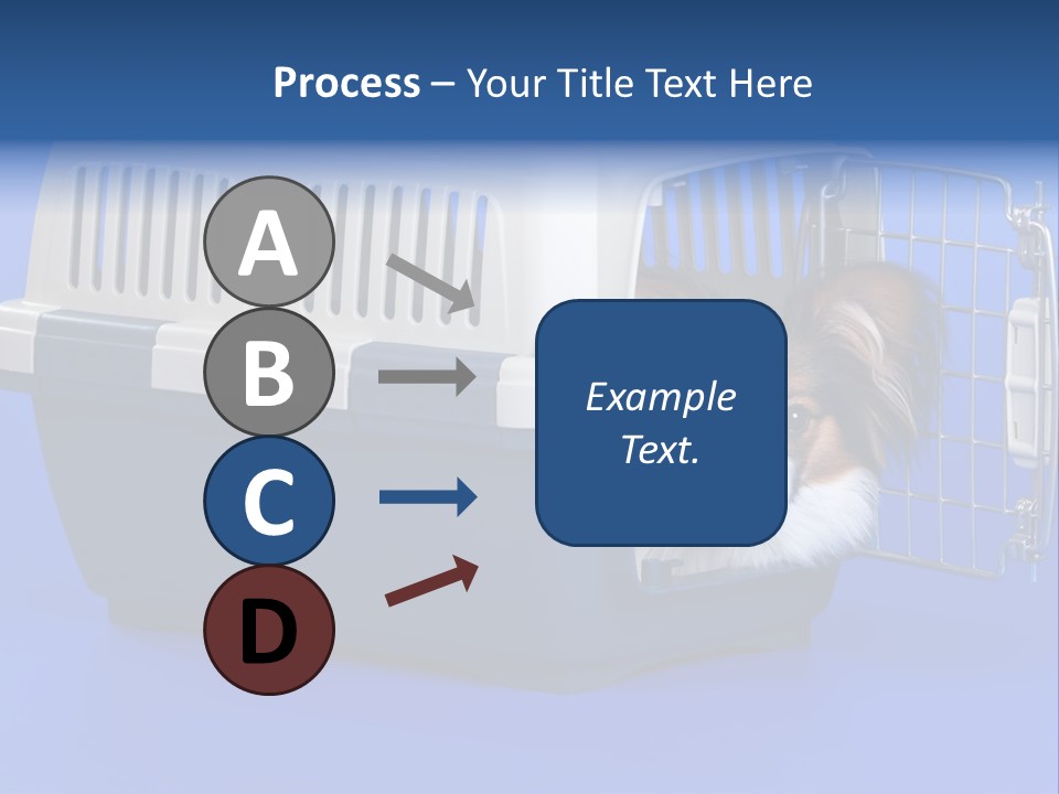 Young Dog Papillon And A Plastic Carrier PowerPoint Template