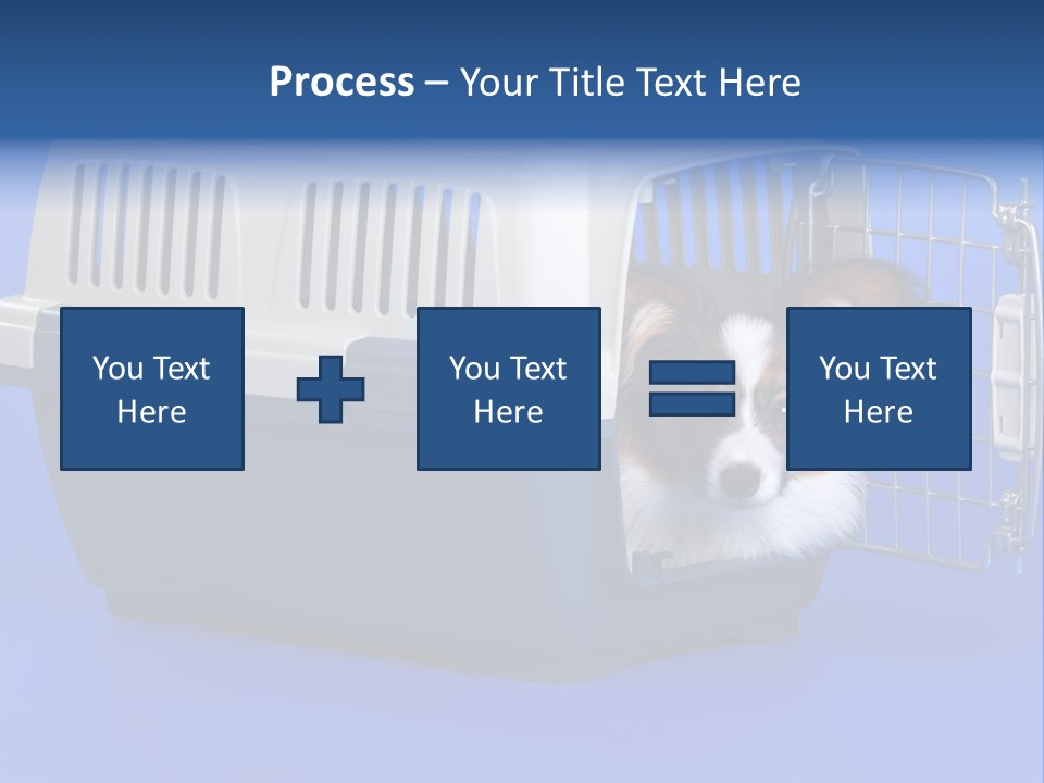 Young Dog Papillon And A Plastic Carrier PowerPoint Template