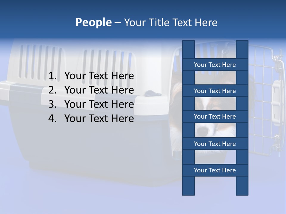 Young Dog Papillon And A Plastic Carrier PowerPoint Template