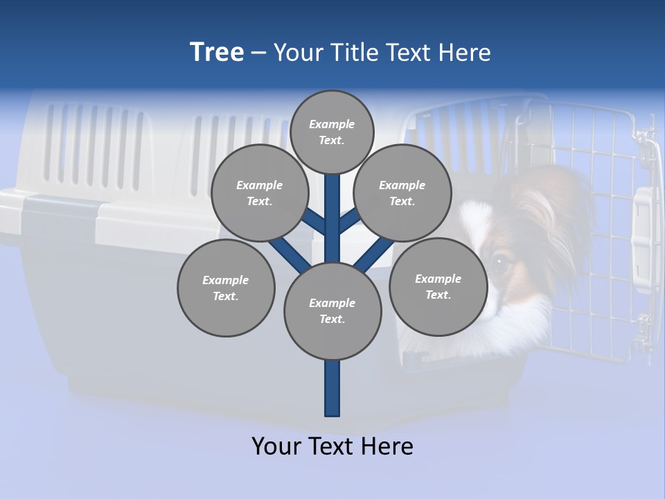 Young Dog Papillon And A Plastic Carrier PowerPoint Template