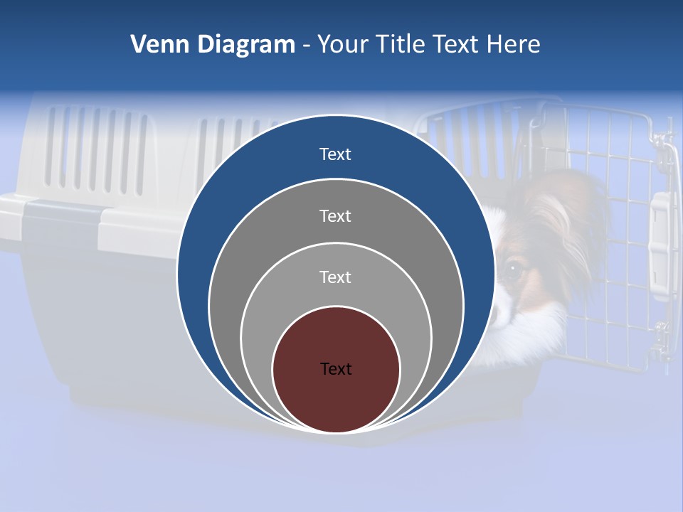Young Dog Papillon And A Plastic Carrier PowerPoint Template