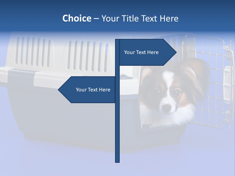 Young Dog Papillon And A Plastic Carrier PowerPoint Template