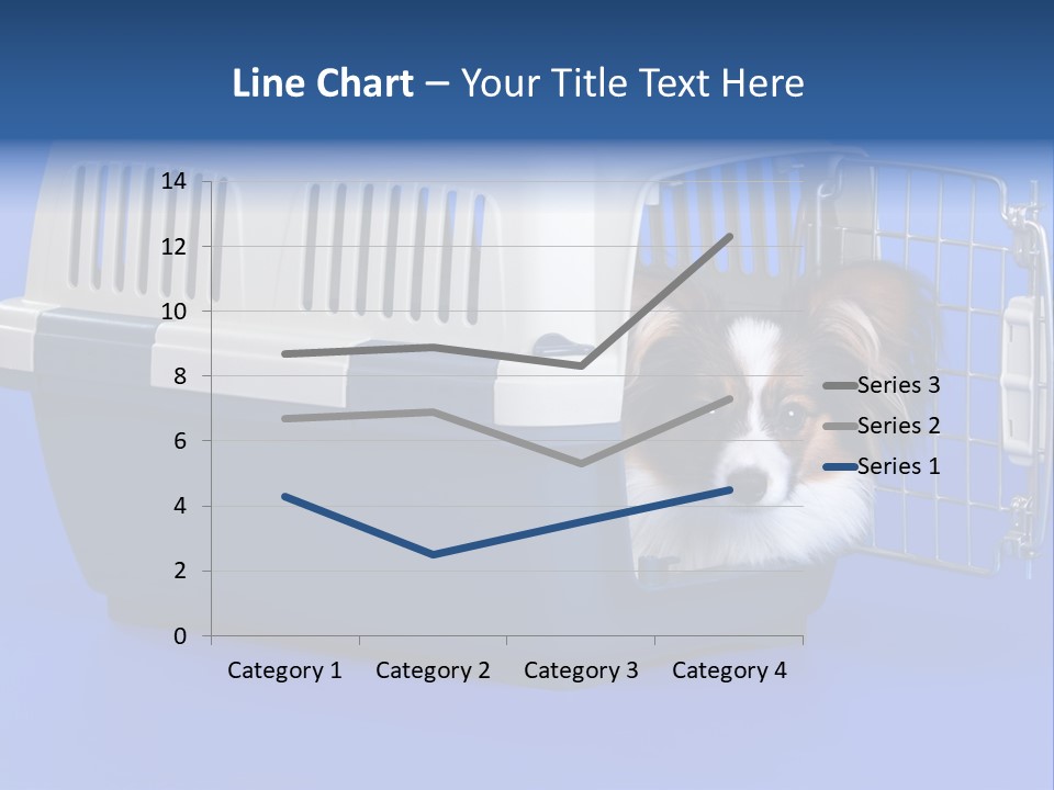 Young Dog Papillon And A Plastic Carrier PowerPoint Template