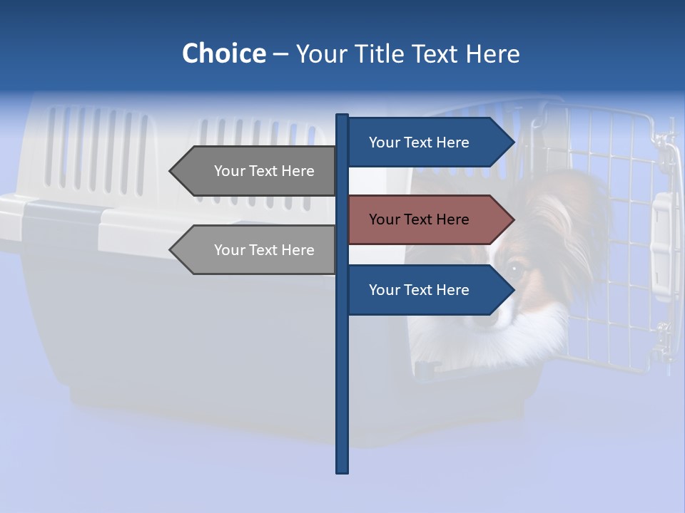 Young Dog Papillon And A Plastic Carrier PowerPoint Template
