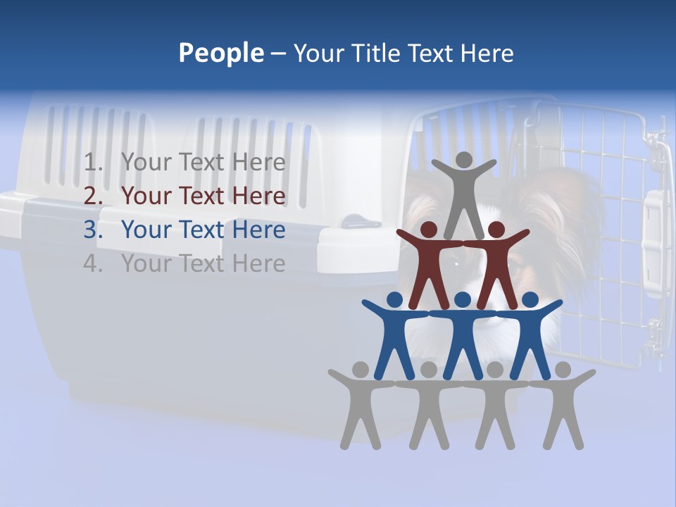 Young Dog Papillon And A Plastic Carrier PowerPoint Template