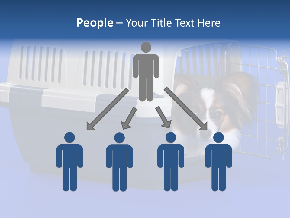 Young Dog Papillon And A Plastic Carrier PowerPoint Template