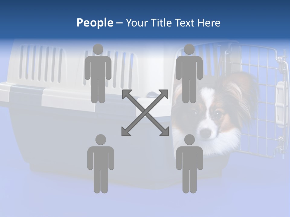 Young Dog Papillon And A Plastic Carrier PowerPoint Template