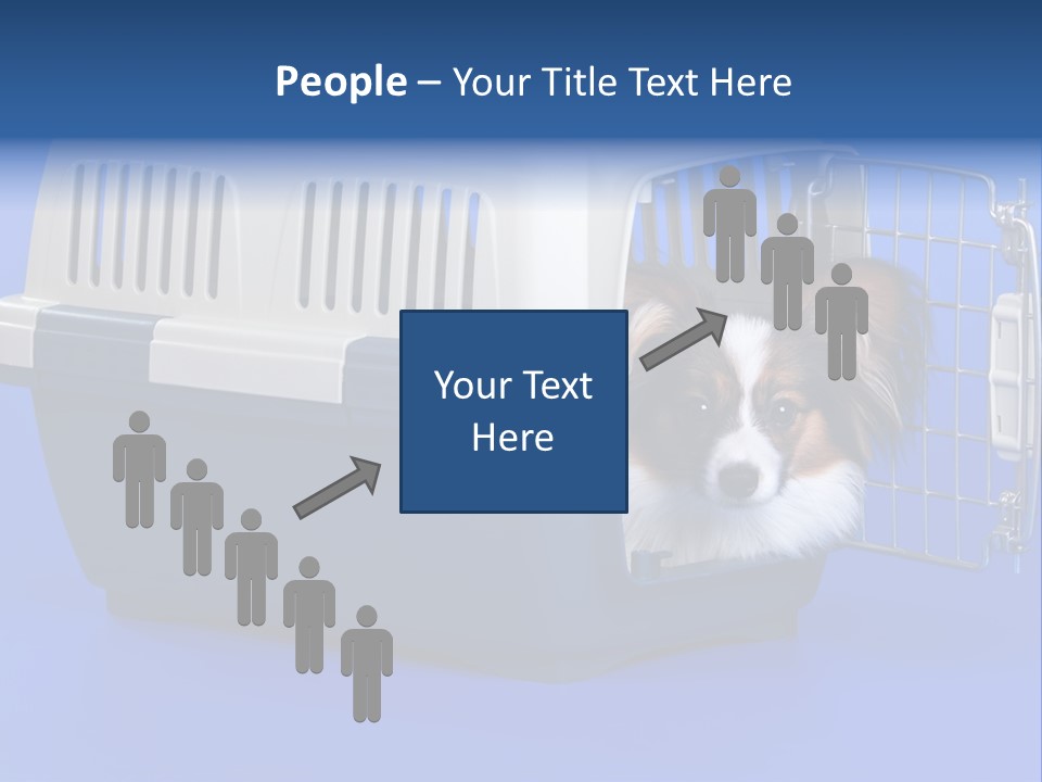 Young Dog Papillon And A Plastic Carrier PowerPoint Template