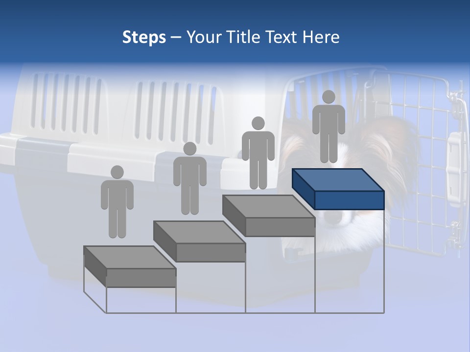 Young Dog Papillon And A Plastic Carrier PowerPoint Template