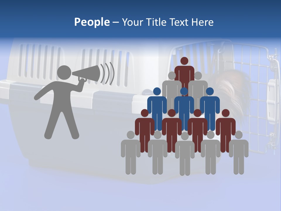 Young Dog Papillon And A Plastic Carrier PowerPoint Template