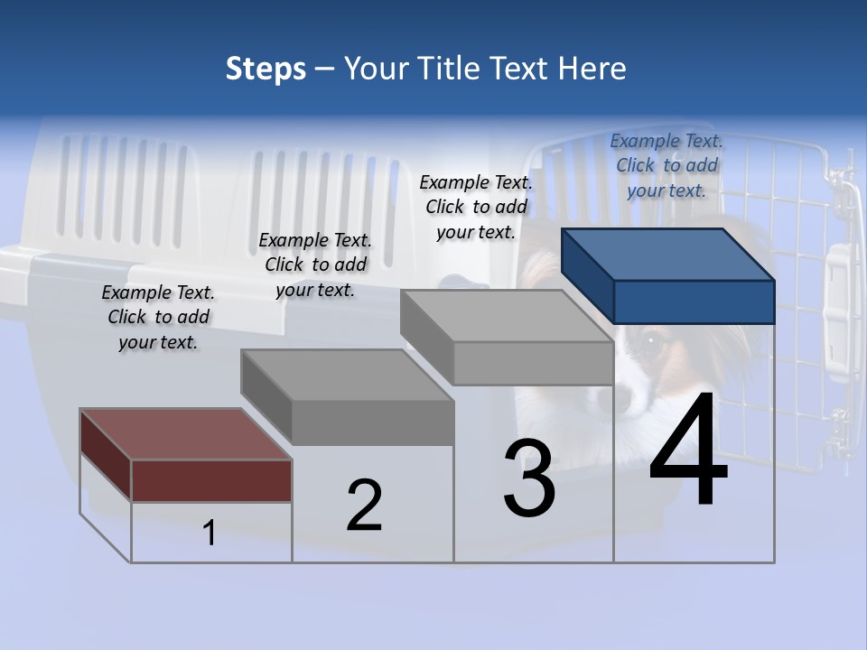 Young Dog Papillon And A Plastic Carrier PowerPoint Template
