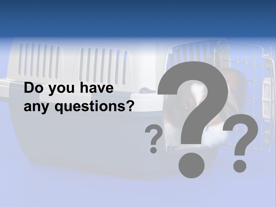 Young Dog Papillon And A Plastic Carrier PowerPoint Template