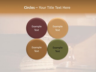 A Sign On A Beach Meaning Dogs Are Not Allowed PowerPoint Template