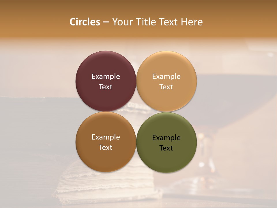 A Sign On A Beach Meaning Dogs Are Not Allowed PowerPoint Template