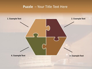 A Sign On A Beach Meaning Dogs Are Not Allowed PowerPoint Template