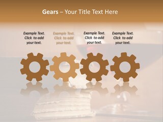 A Sign On A Beach Meaning Dogs Are Not Allowed PowerPoint Template