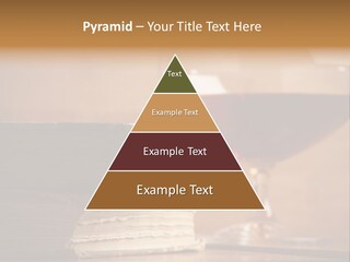 A Sign On A Beach Meaning Dogs Are Not Allowed PowerPoint Template